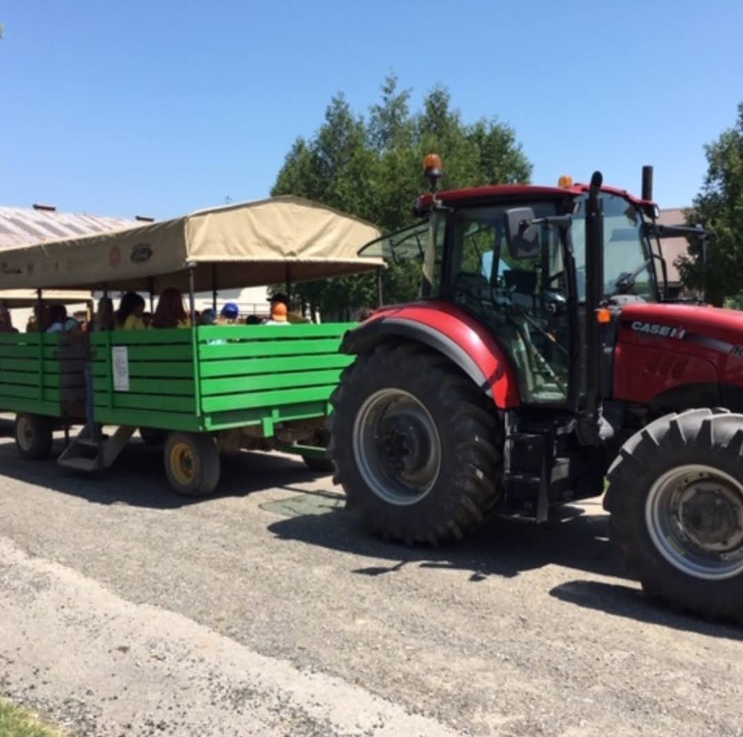 Farm Adventurers